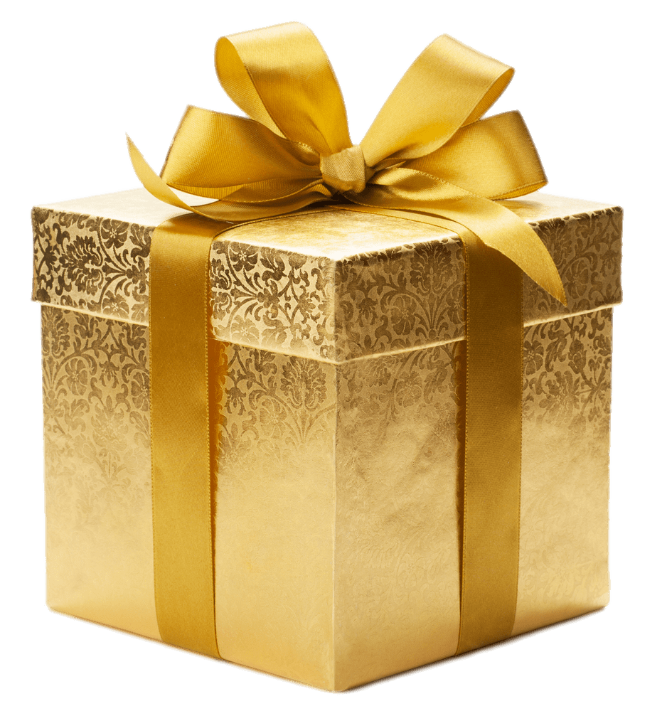 Bolsa de regalo