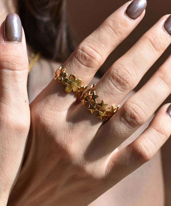 Anillos