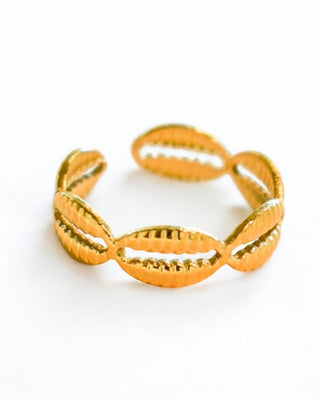 Anillo Shell
