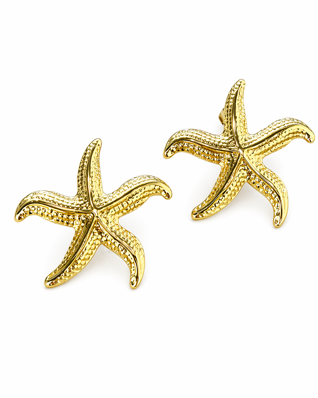 Aretes Cielo