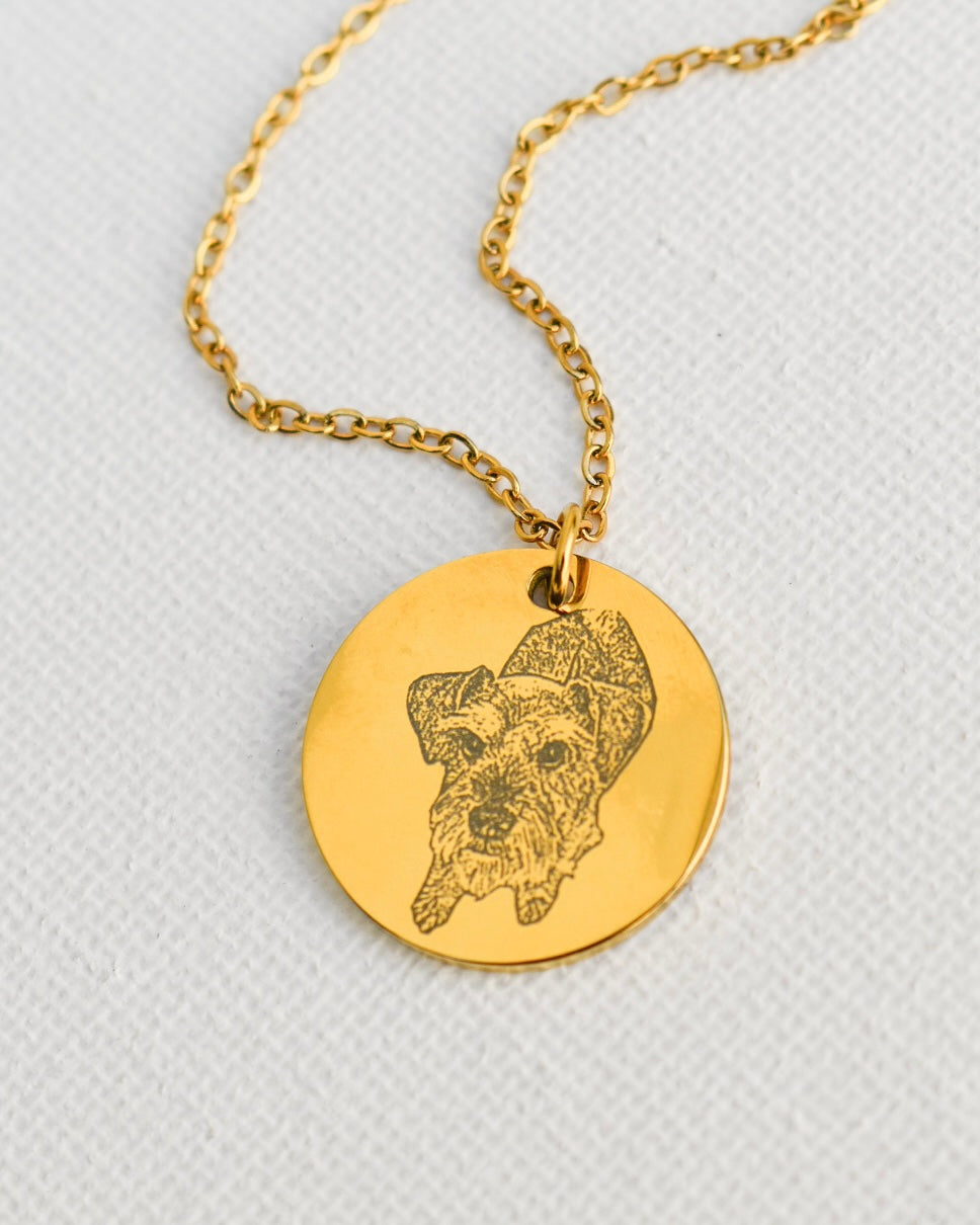 Collar Mascota Personalizado