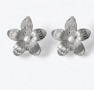Aretes Belén