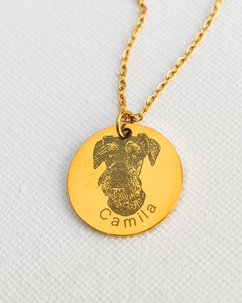Collar Mascota Personalizado
