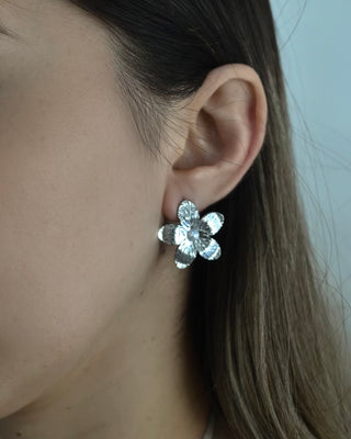 Aretes Belén Plateados