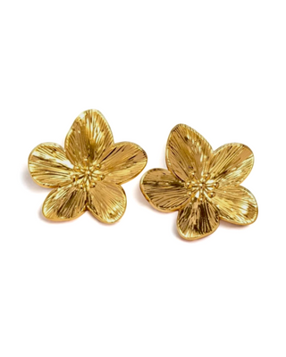 Aretes Maui