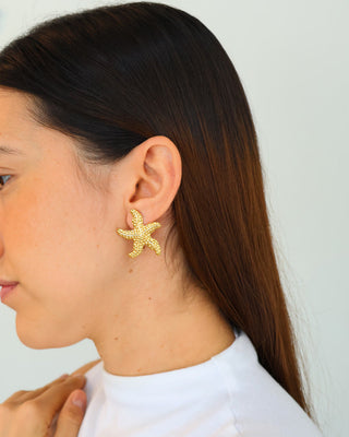 Aretes Cozumel