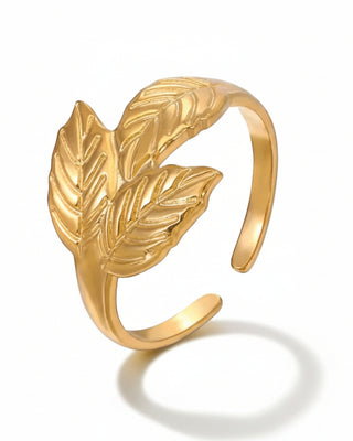 Anillo Nature