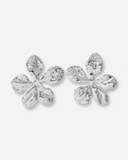 Aretes Alhelí Plateados