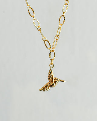 Collar Hummingbird