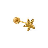 Piercing Estrella de Mar mini - Oro 10k (1 pz)