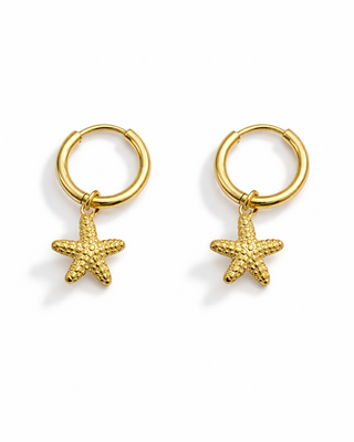 Aretes Manza