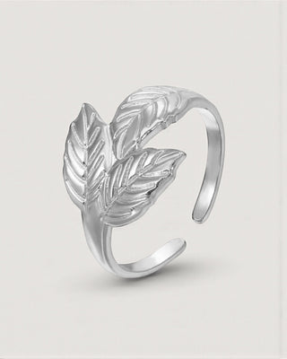 Anillo Nature