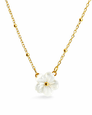 Collar Flora