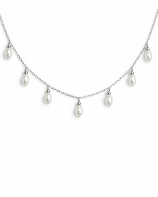 Collar Marina
