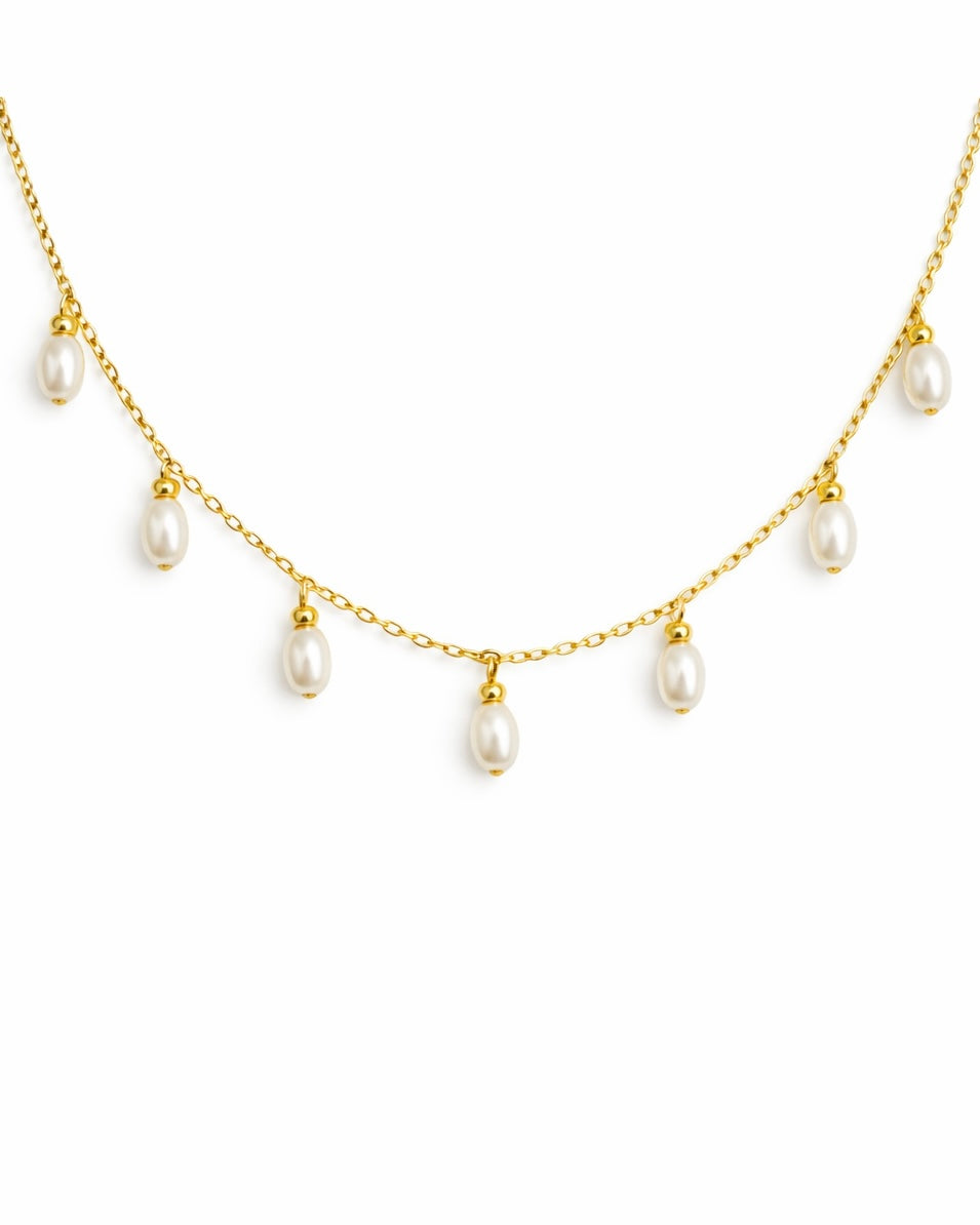 Collar Marina