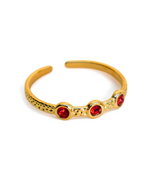 Anillo Red