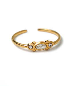 Anillo Aramir