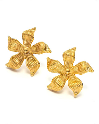 Aretes Holanda