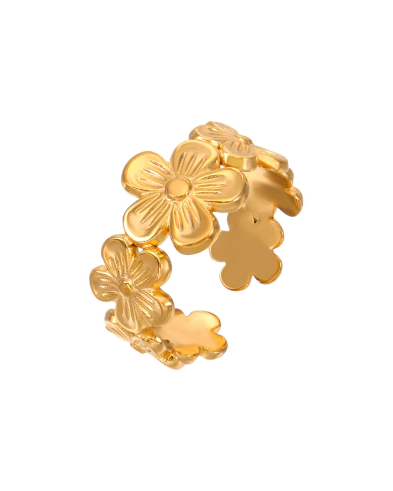 Anillo Primavera