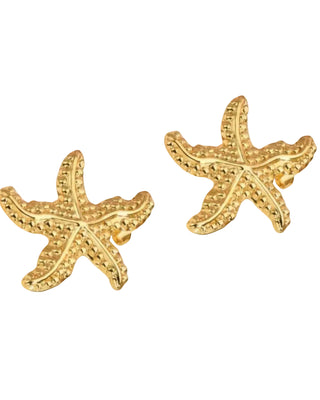 Aretes Cozumel