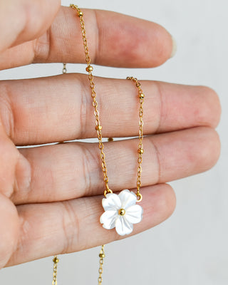 Collar Flora