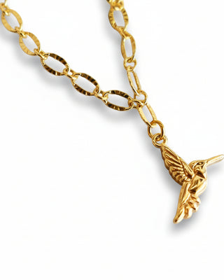 Collar Hummingbird