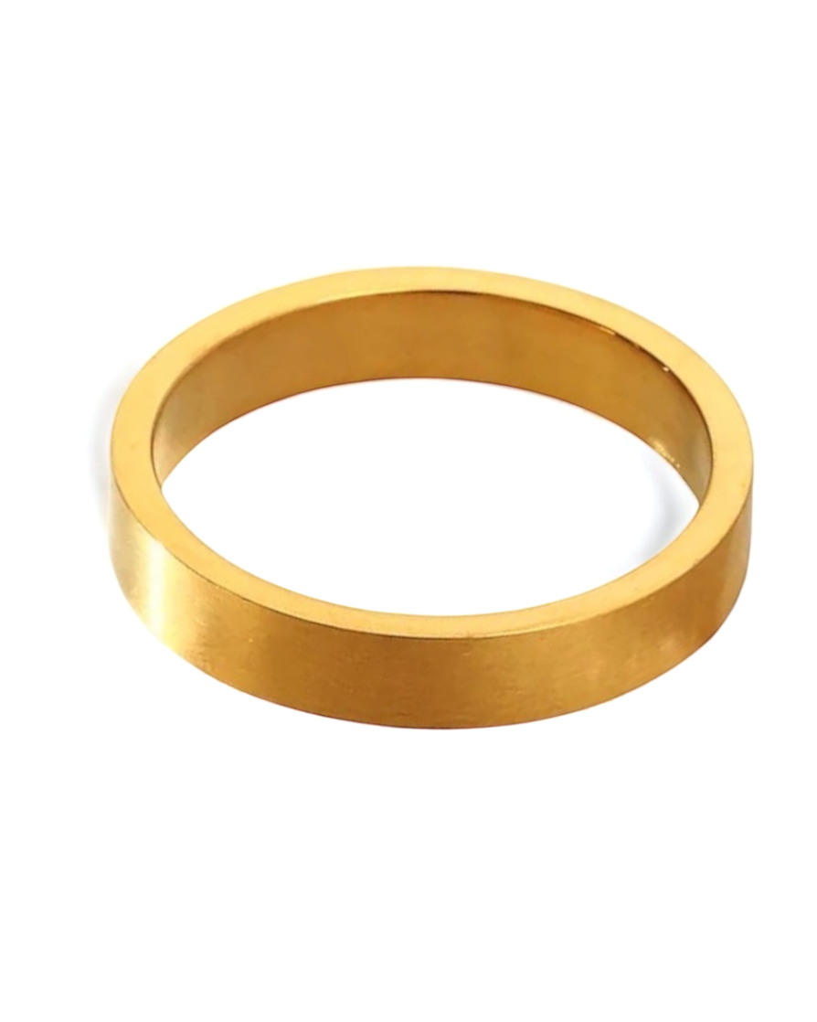 Anillo Plano Sencillo