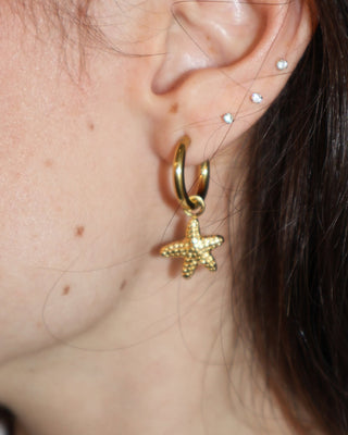 Aretes Manza