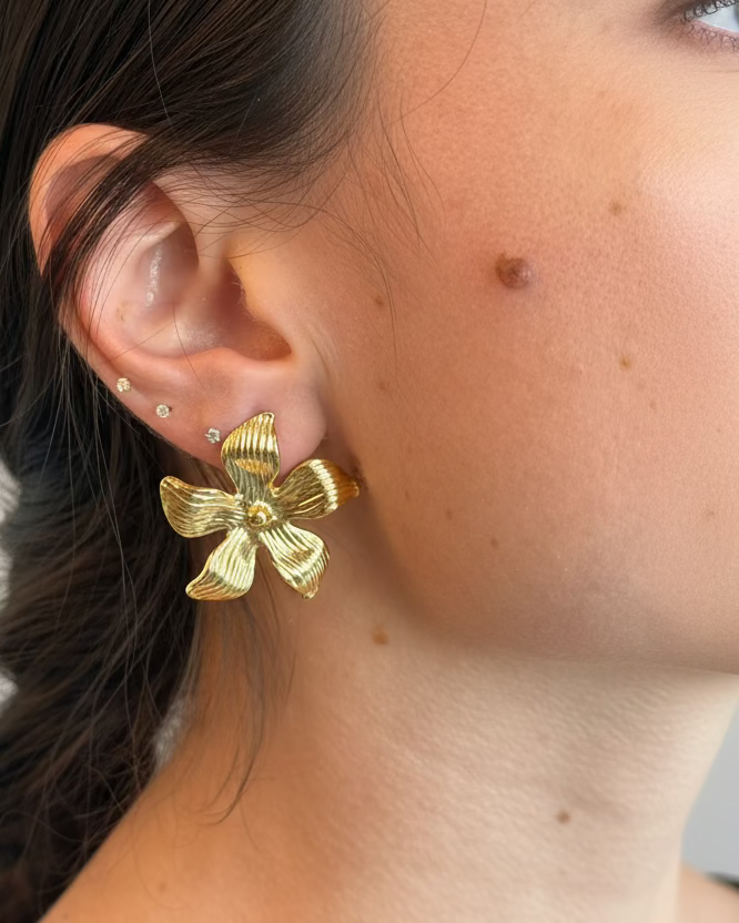 Aretes Holanda