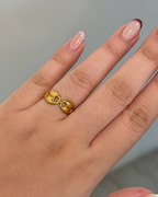 Anillo Viri