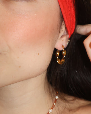 Aretes Torsal