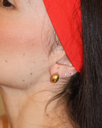 Aretes Vivi