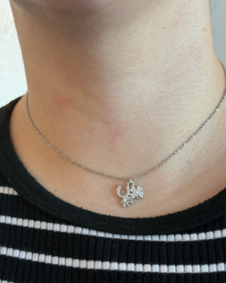 Collar Lucky Charms Plateado