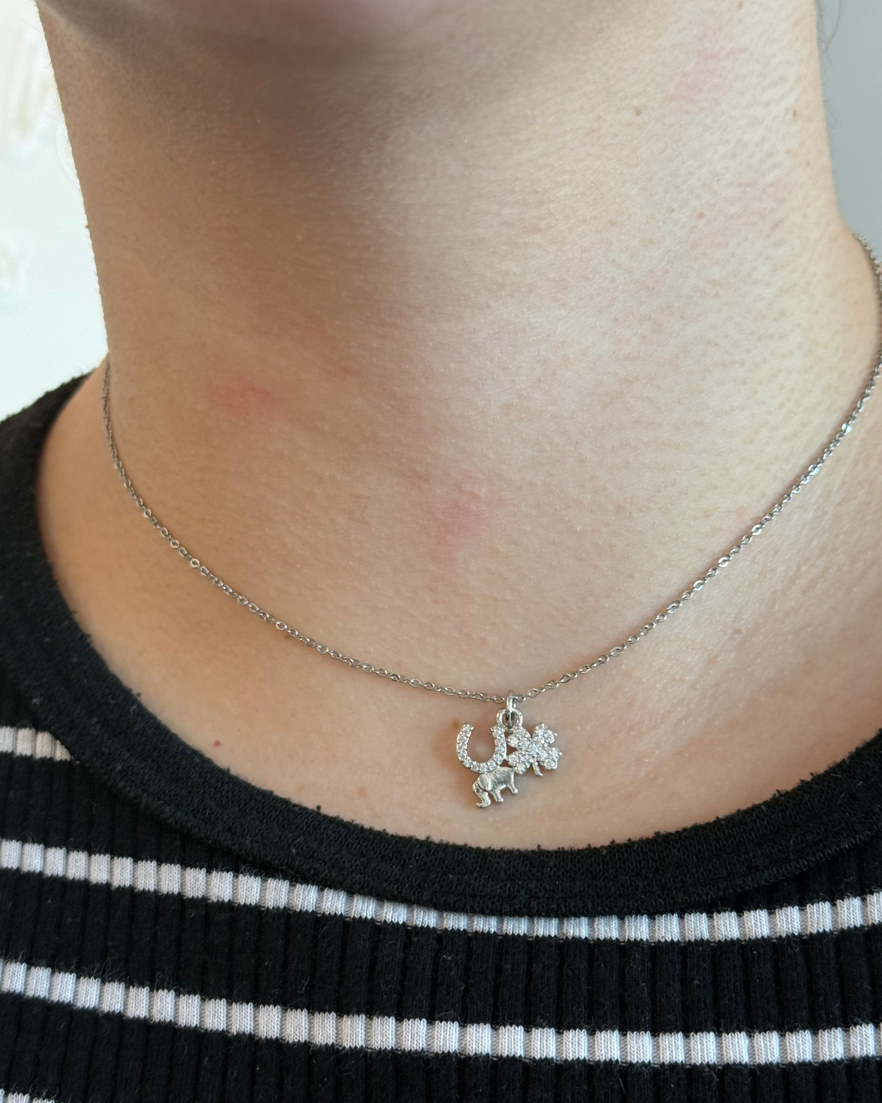 Collar Lucky Charms Plateado