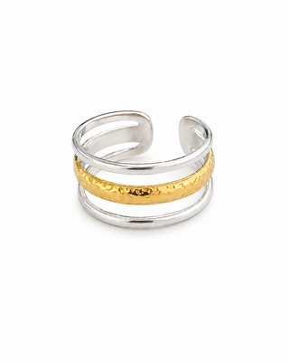 Anillo Líneas Bicolor