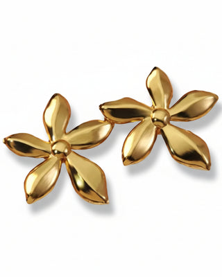 Aretes Marisol