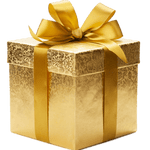 Bolsa de regalo