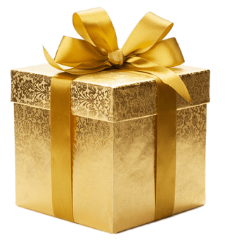Bolsa de regalo